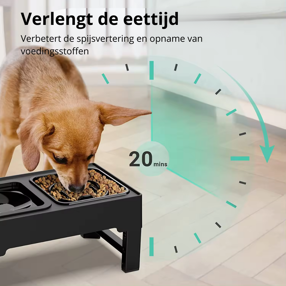 Drink- en Voerbak Hond met standaard - Anti-schok & Anti-lek functie